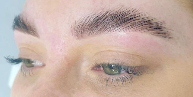 Eyebrow Tinting and Waxing Training Course