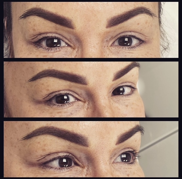 tmf-training-studio-brow-package