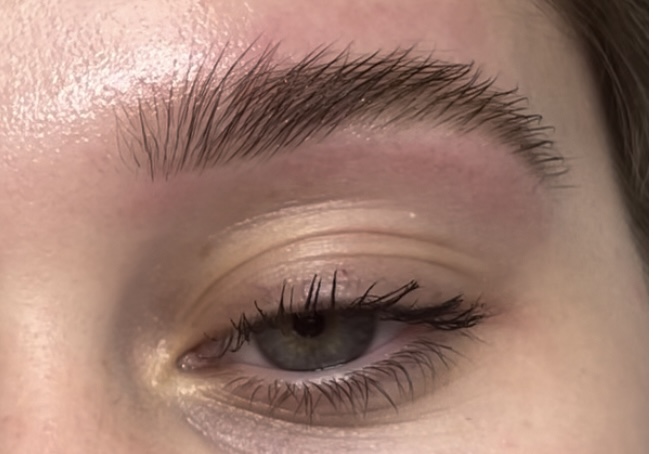 tmf-training-studio-eyebrow-spmu