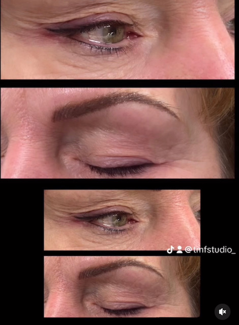 tmf-training-studio-eye-brows